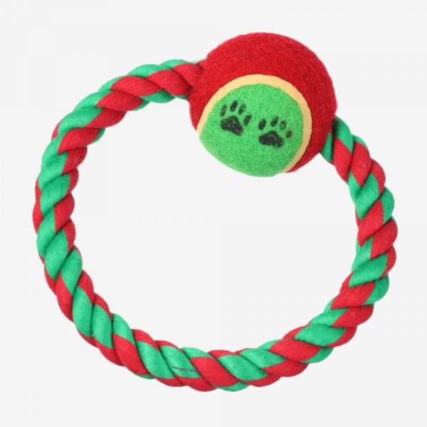 Ball Dog Toy